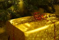 ​В бюджете Новосибирской области в 2020 году не предусмотрена закупка новогодних подарков для детей из льготных категорий граждан. 
