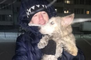 Хозяину пса пришлось вызвать спасателей