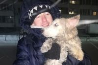 Хозяину пса пришлось вызвать спасателей