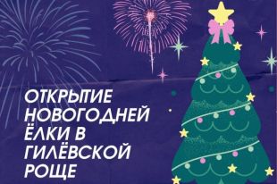Тюменцев приглашают в Гилевскую рощу на открытие елки