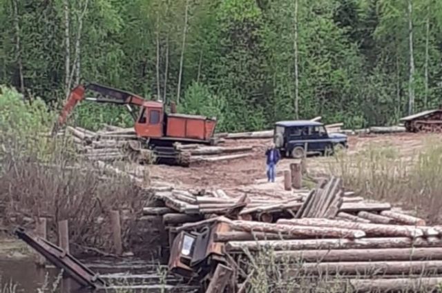 «Владлесхозу» купят квадрокоптеры, тракторы, машины и лесные культиваторы