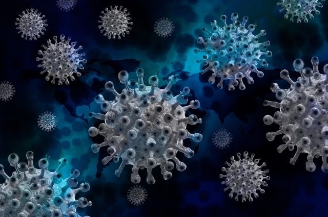 В Липецкой области коронавирус за сутки унёс жизни семи человек