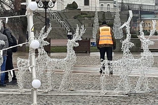 Власти Калининграда призывают не сажать детей на электрические гирлянды