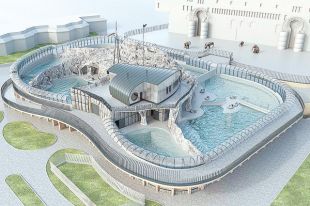 В 2021 г. в Московском зоопарке откроется павильон «Ластоногие».