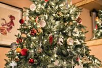 ​С 1 января МЧС России вводит новые правила установки елок дома. Новогодние деревья новосибирцев могут оказаться незаконными. 