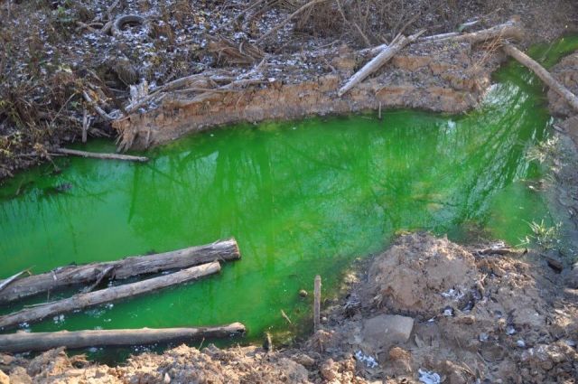 Прокуратура нашла причину загрязнения ручья зеленой жидкостью в Иркутске