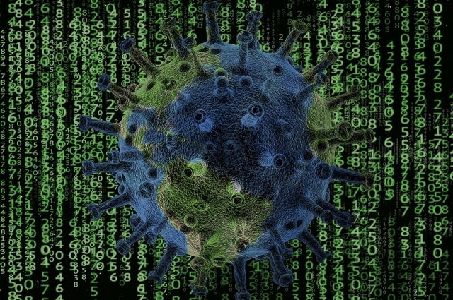Новый штамм коронавируса из ЮАР способен считывать реакцию иммунной системы