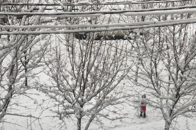 О возможном налипании снега на провода предупреждают псковичей