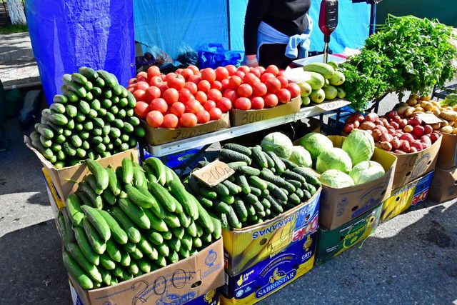 Камчатцев обещают накормить местными недорогими овощами через три года
