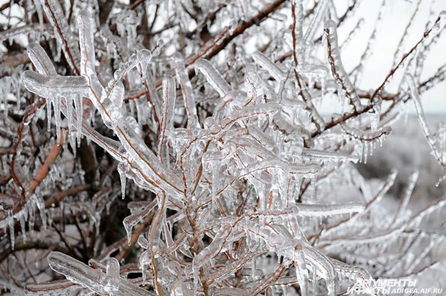 Ледяной дождь 29 декабря пройдёт на востоке Псковской области