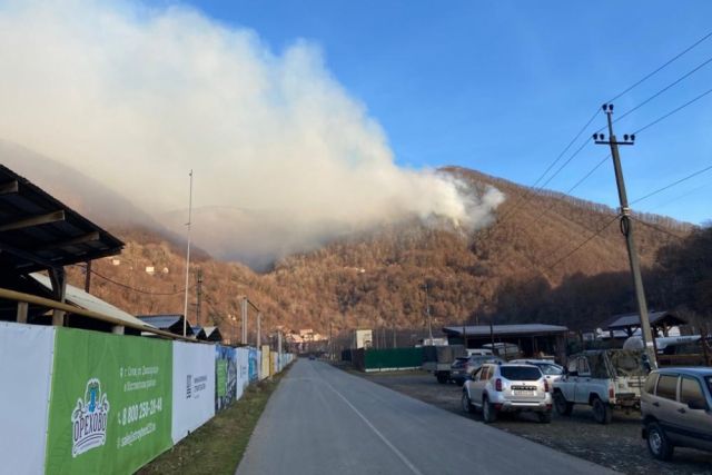 Из-за крупного лесного пожара в Сочи создан межведомственный оперштаб