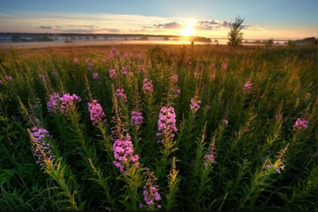 Экология в Якутии лучше, чем где бы то ни было в России.