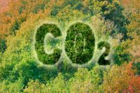 Тропические леса перестают выполнять функцию поглощения углекислого газа.