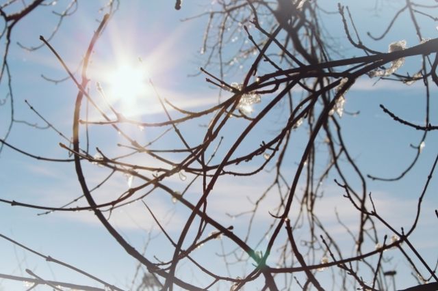 Существенно более тёплая погода: синоптики Прикамья дали прогноз на 4 дня
