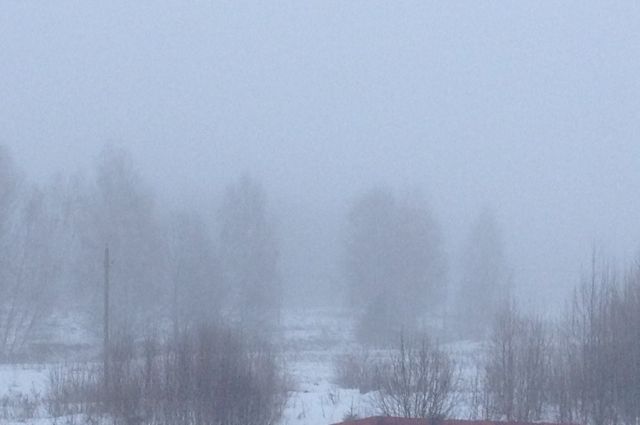 В Оренбуржье в первый новогодний день ожидается туман