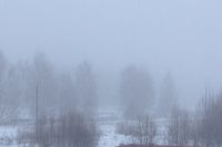 В Оренбургской области сохраняется туман видимостью 500 и менее метров.