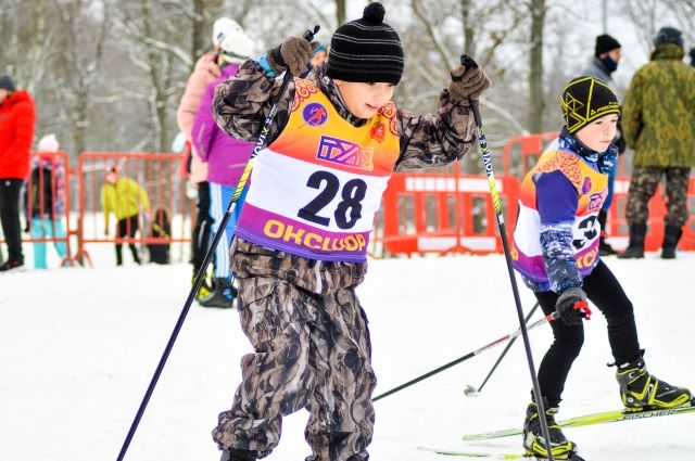 Соревнования по лыжным гонкам в Туле