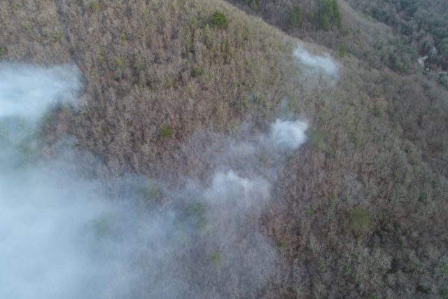В Краснодарском крае потушили лесной пожар на границе Сочи и Туапсе
