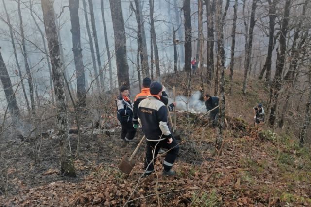 В Краснодарском крае горит порядка 129 га леса