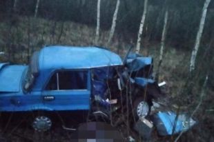 В Житомирской области легковушка въехала в дерево: есть жертвы