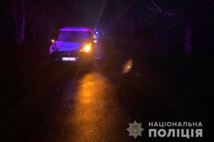 В Житомирской области водитель наехал на группу детей: один человек погиб