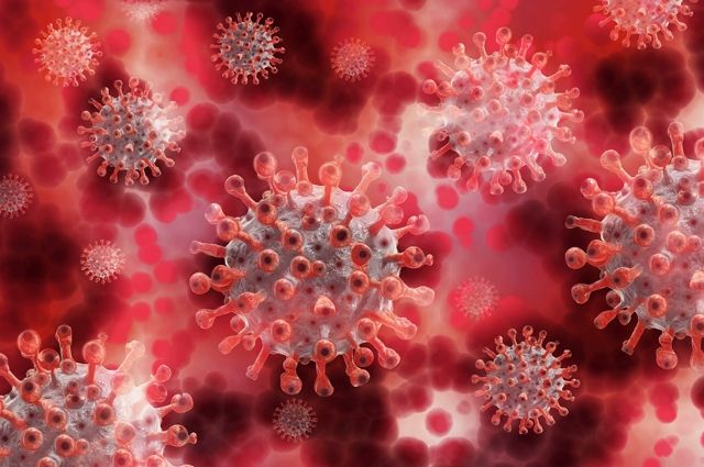 Ещё три жителя Липецкой области за сутки умерли от коронавируса