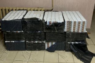 В Закарпатской области пограничники пресекли контрабанду табачной продукции