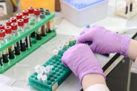 Новые случаи заражения коронавирусом выявляют в 24 лабораториях Ставрополья.