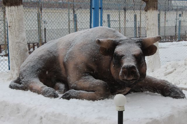 Территорию саратовской колонии украсили скульптуры из снега и льда
