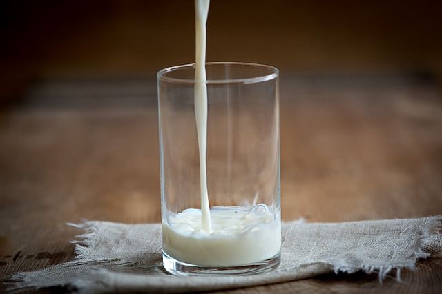 Тульская область оказалась в лидерах суточных надоев молока