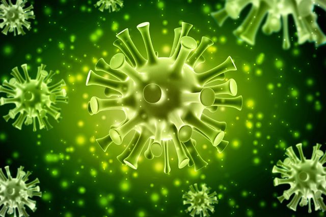За сутки в Калининградской области выявили 200 случаев коронавируса