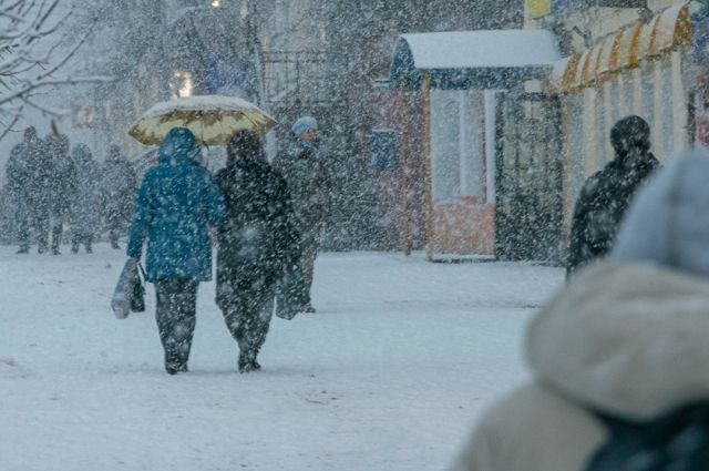 В Тамбовской области 13 января синоптики пообещали метель