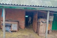 В Полтавской области сын жестоко убил родную мать.