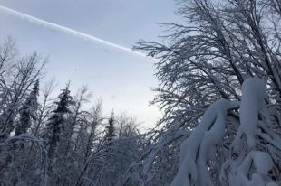Занятия второй смены в школах Тюмени отменили из-за морозов