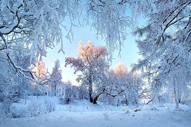 14 января столбики термометров в Петербурге опустятся до -21 градуса