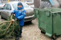 Тюменцам рассказали, как правильно избавиться от новогодних елок 