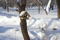 ​Сегодня, 16 января, в Новосибирске и районах области резко потеплело. 17 января, в воскресенье, синоптики ждут дальнейшие улучшения погоды. 