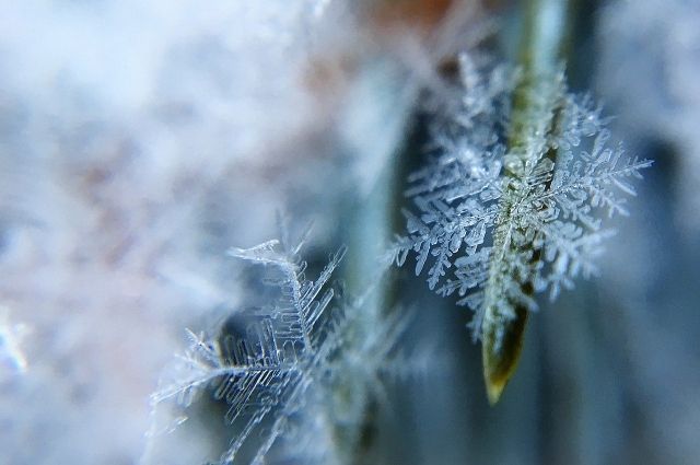 В Курской области ожидается аномальное похолодание