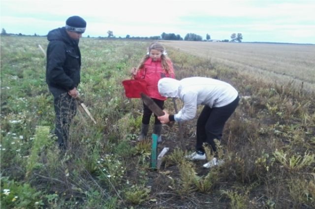 Во Владимирской области 3103 многодетных семьи не освоили земельные участки