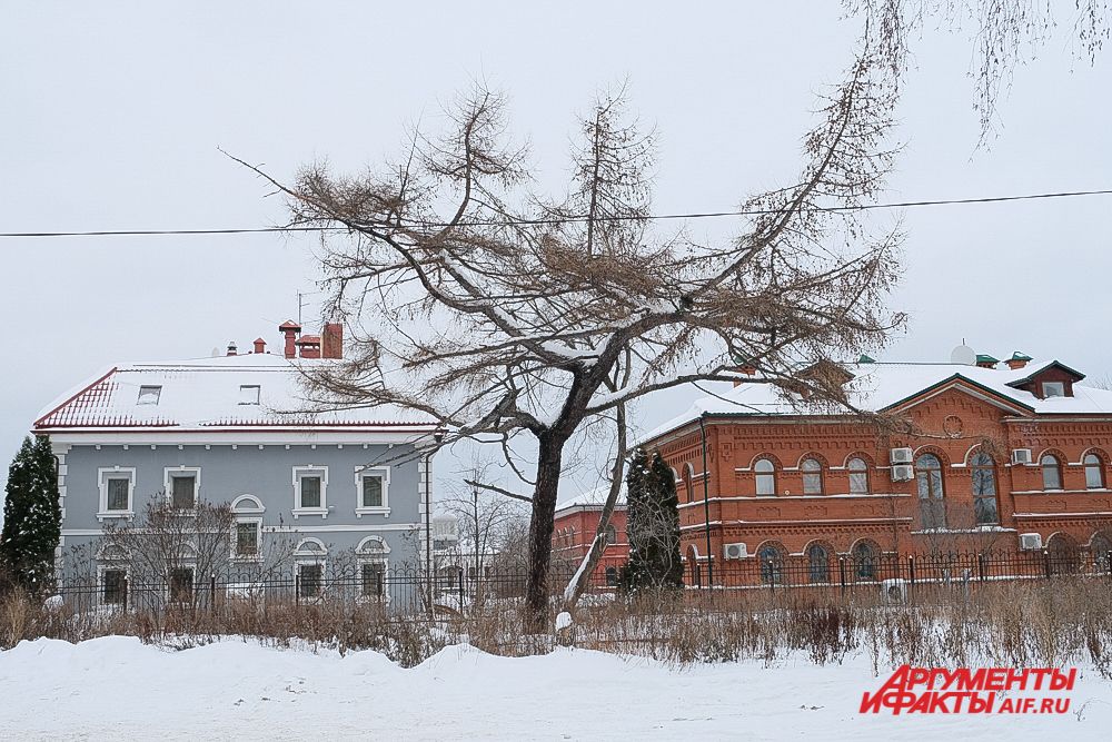 «Зелёное кольцо» в Перми.