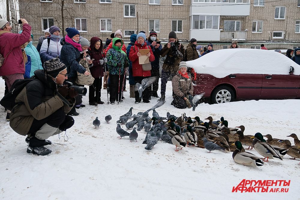 «Зелёное кольцо» в Перми.