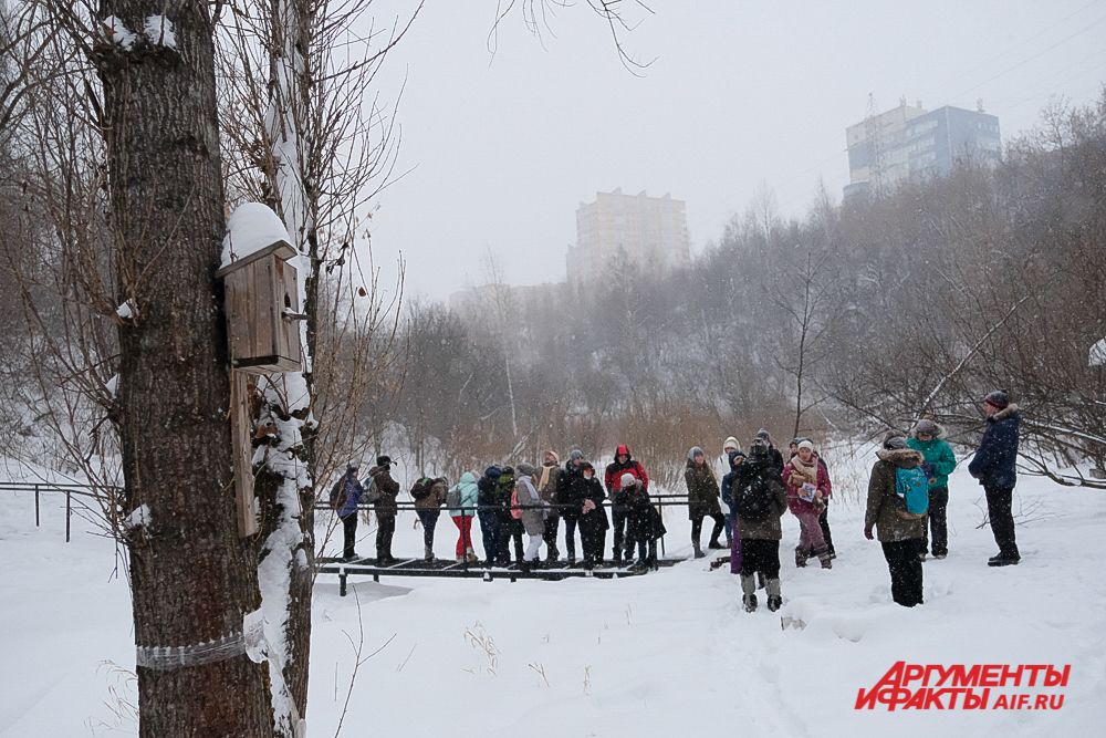 «Зелёное кольцо» в Перми.