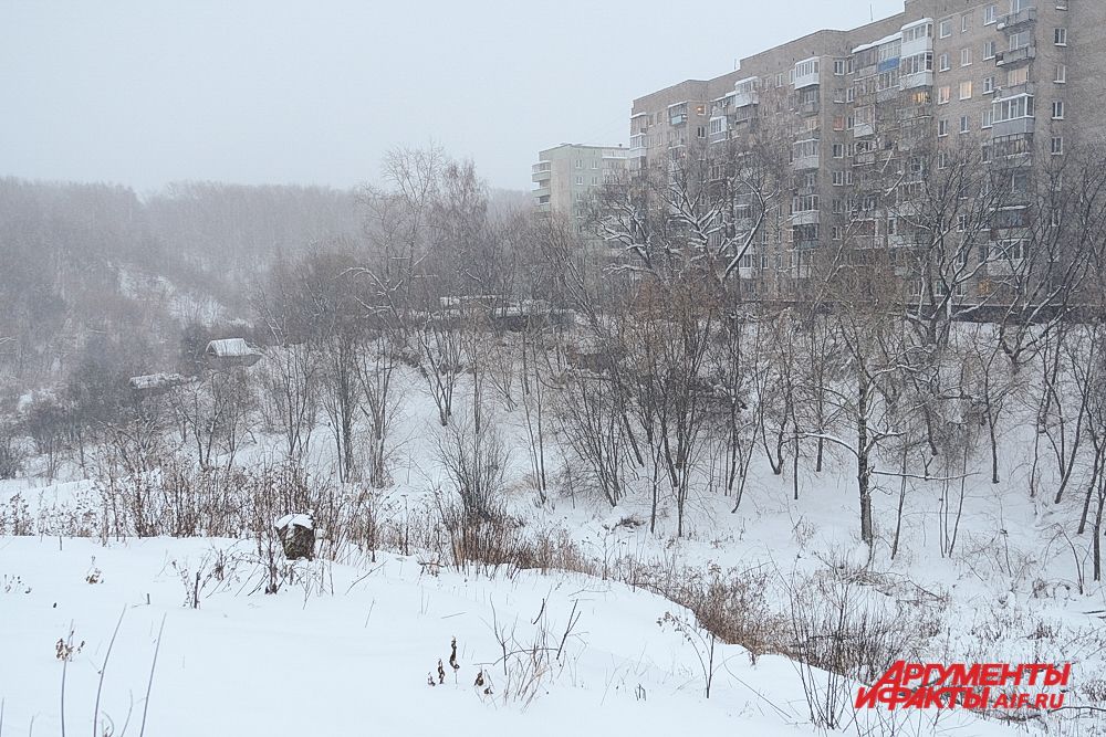 «Зелёное кольцо» в Перми.