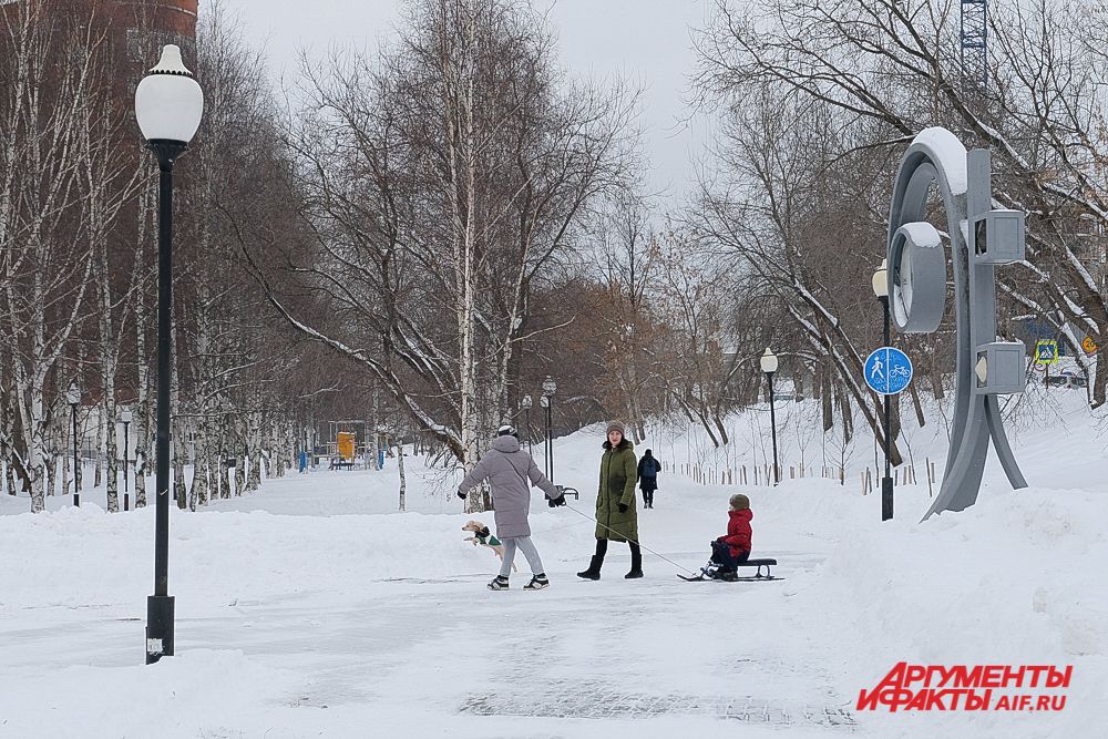 «Зелёное кольцо» в Перми.