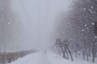 В Тюмени 20 января в течение всего дня будет идти снег