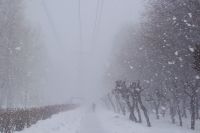 В Тюмени 20 января в течение всего дня будет идти снег 