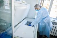 Крупную партию вакцины разместят в Пермском краевом центре по профилактике и борьбе со СПИД и инфекционными заболеваниями, где есть специальные холодильники.