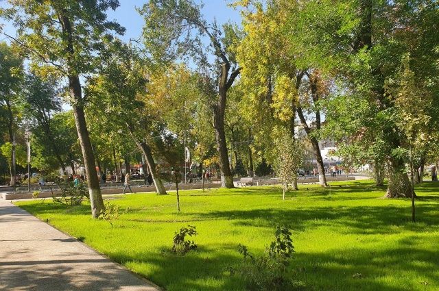 Подрядчик из Тюмени отказался от благоустройства омских парков и скверов