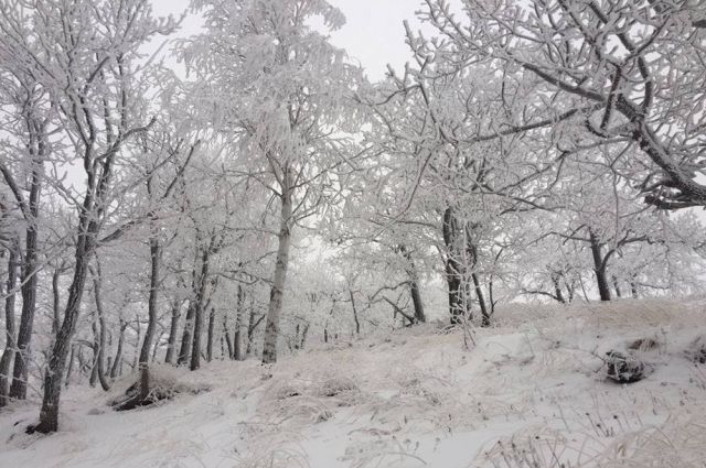 Погода в Хабаровском крае и ЕАО на 22 января