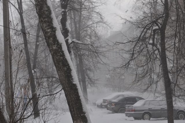 Жителей Алтайского края предупреждают о сильном снеге и ветре